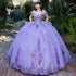 Enchanting Floral Details Quinceañera Ball Gown for Women, Sizes 4/XS-16/3X